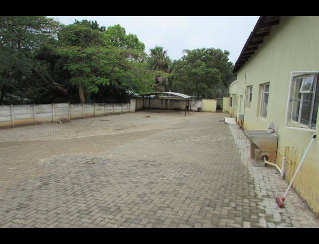 FARM FOR SALE IN WHITE RIVER ESTATES